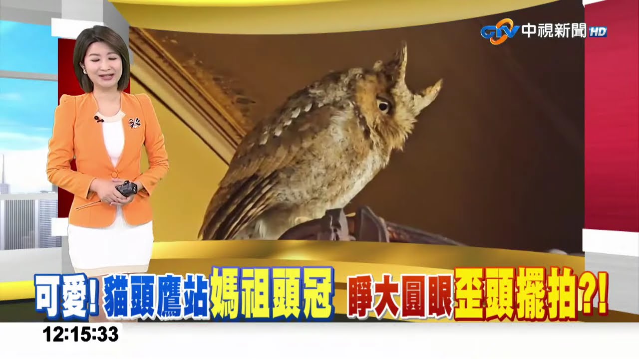 #中視午間新聞線上看 20260125(週日)