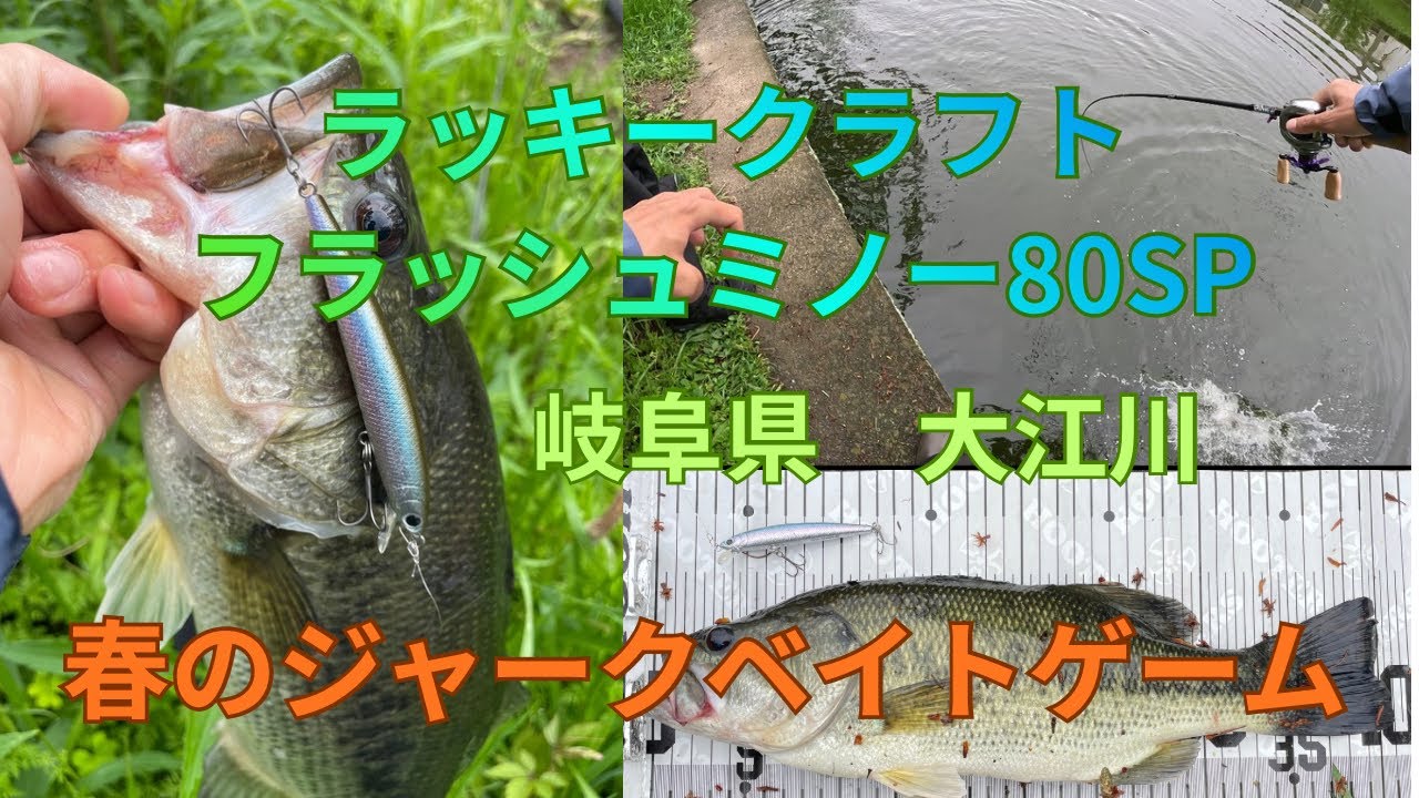長年売れ続けているルアーはやっぱり現代のハイプレッシャーフィールドでも有効だった