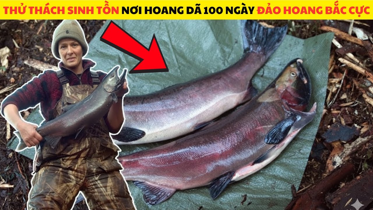 Thử Thách Sinh Tồn 100 Ngày Nơi Hoang Dã Bắc Cực Full Mùa