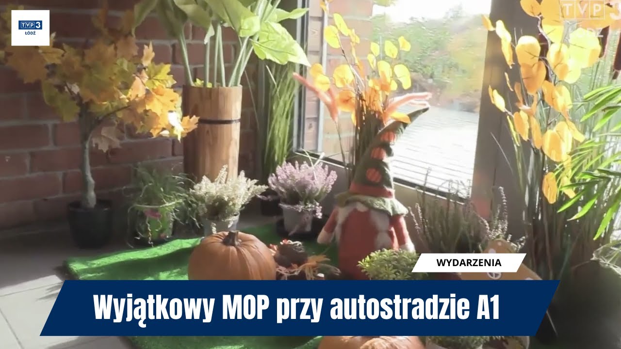 Wyjątkowy MOP przy autostradzie A1