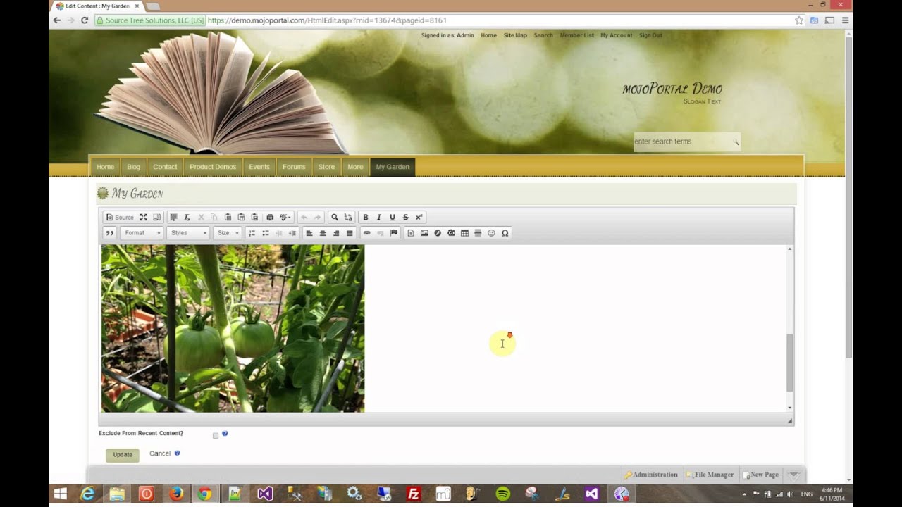 Easy Page Editing with mojoPortal CMS