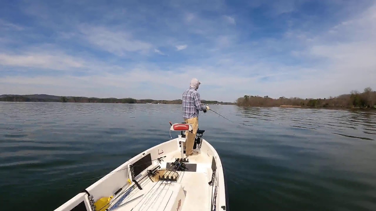 Live!  Early spring bass fishing on Lake Guntersville and the TN River