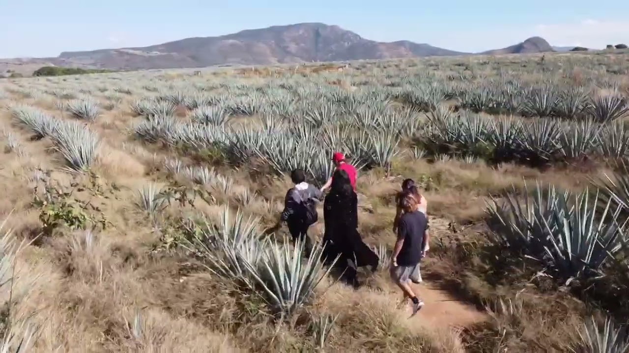 EN FAMILIA DESDE TEQUILA JALISCO!