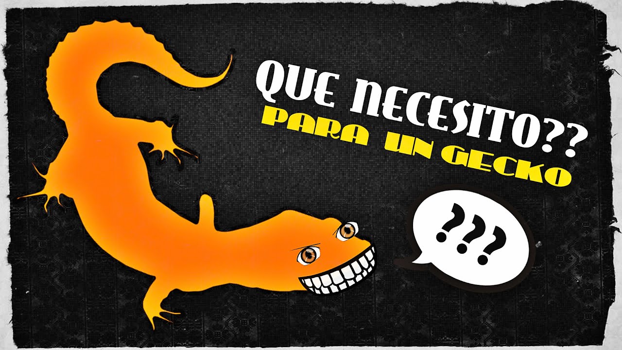 Tutorial : Que materiales necesito para empezar a tener un Gecko