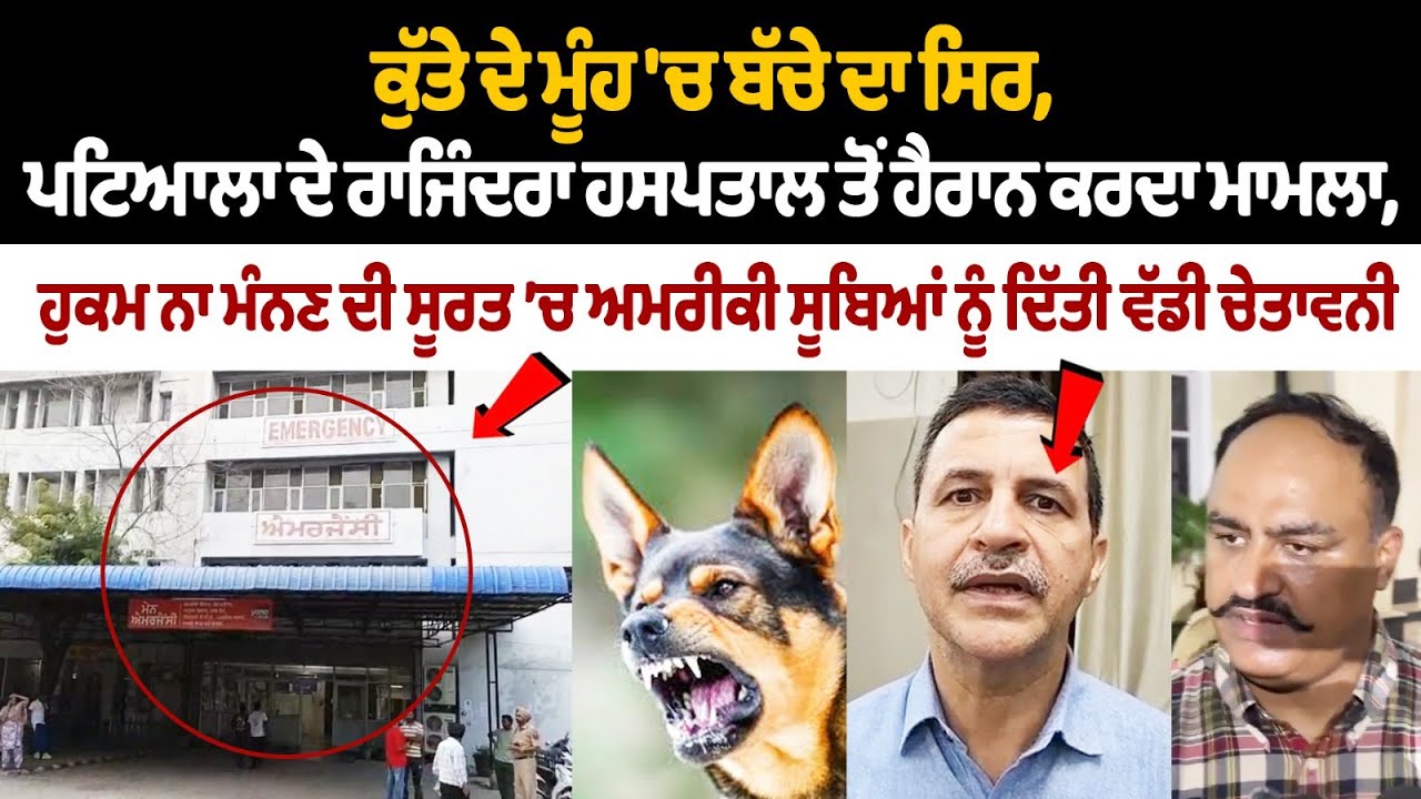 ਕੁੱਤੇ ਦੇ ਮੂੰਹ 'ਚ ਬੱਚੇ ਦਾ ਸਿਰ, ਪਟਿਆਲਾ ਦੇ ਰਾਜਿੰਦਰਾ ਹਸਪਤਾਲ ਤੋਂ ਹੈਰਾਨ ਕਰਦਾ ਮਾਮਲਾ ਆਇਆ ਸਾਹਮਣੇ