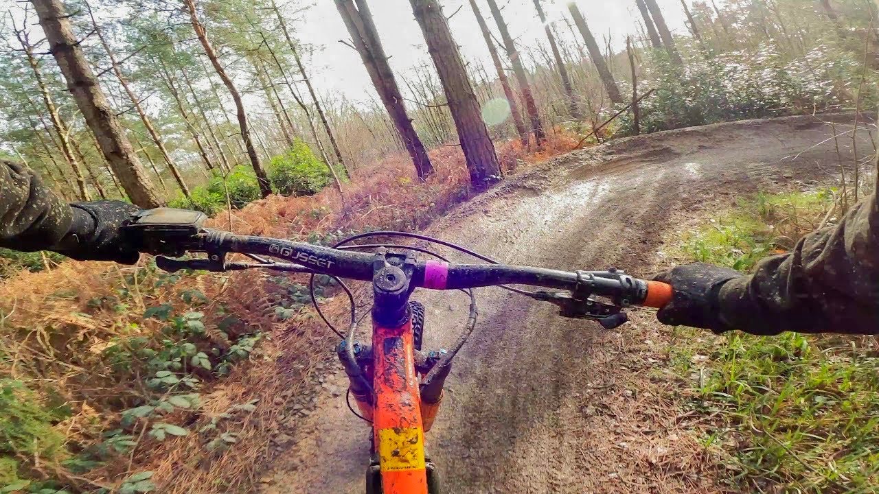 MTB SINGLE TRACK BEDGEBURY FOREST!