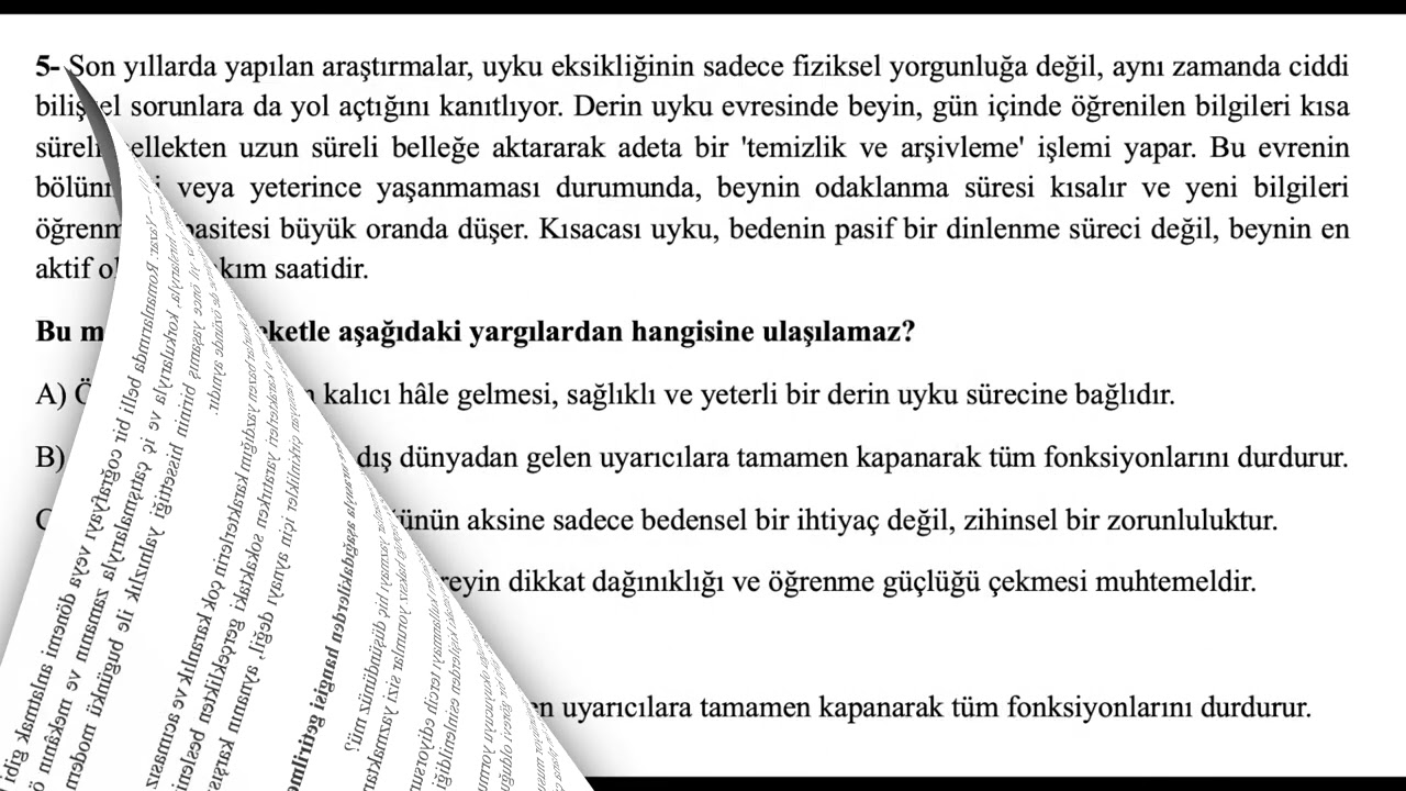 LGS Paragraf Soruları - 1