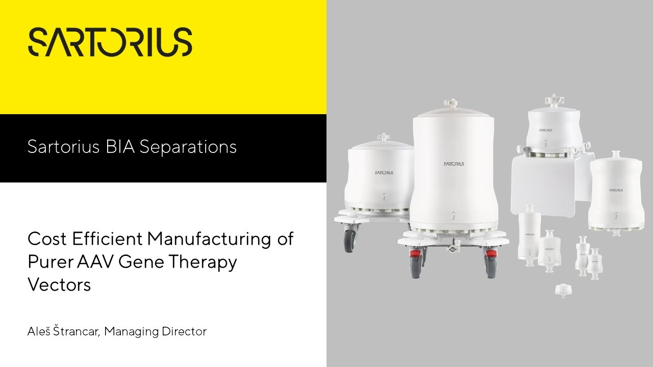 Cost Efficient Manufacturing of Purer AAV Gene Therapy Vectors