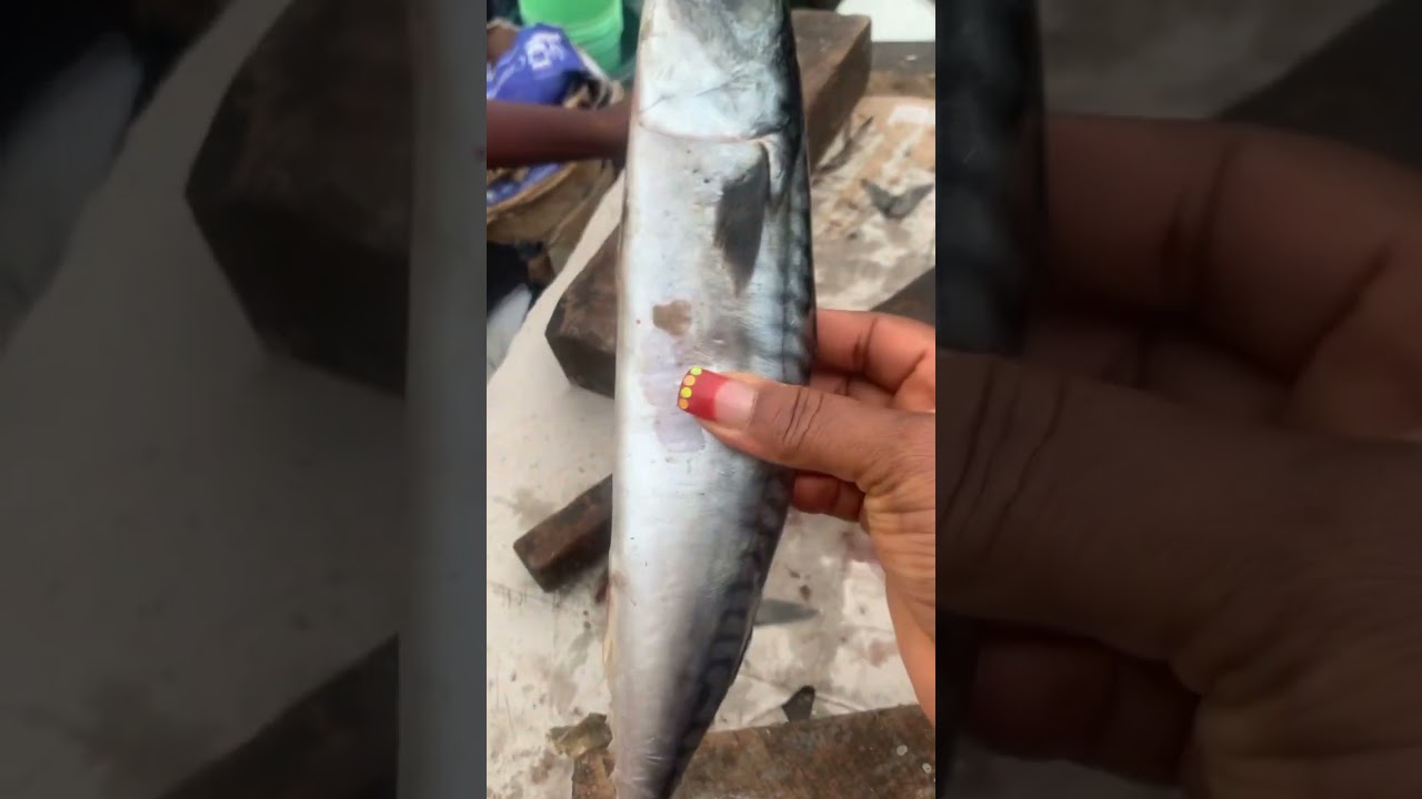 How much is Titus fish in your area now? This is going for N2,000 at Orile bus stop, Lag #titusfish
