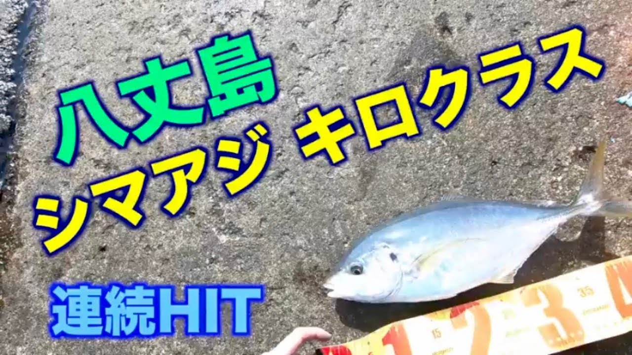 八丈島【カゴ釣り】シマアジ連続HIT