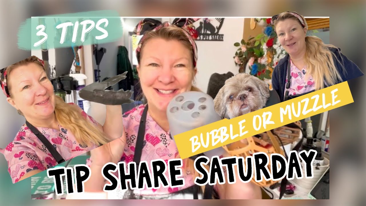 🎬 Tip Share Saturday – Bubble Not Muzzle 🐾