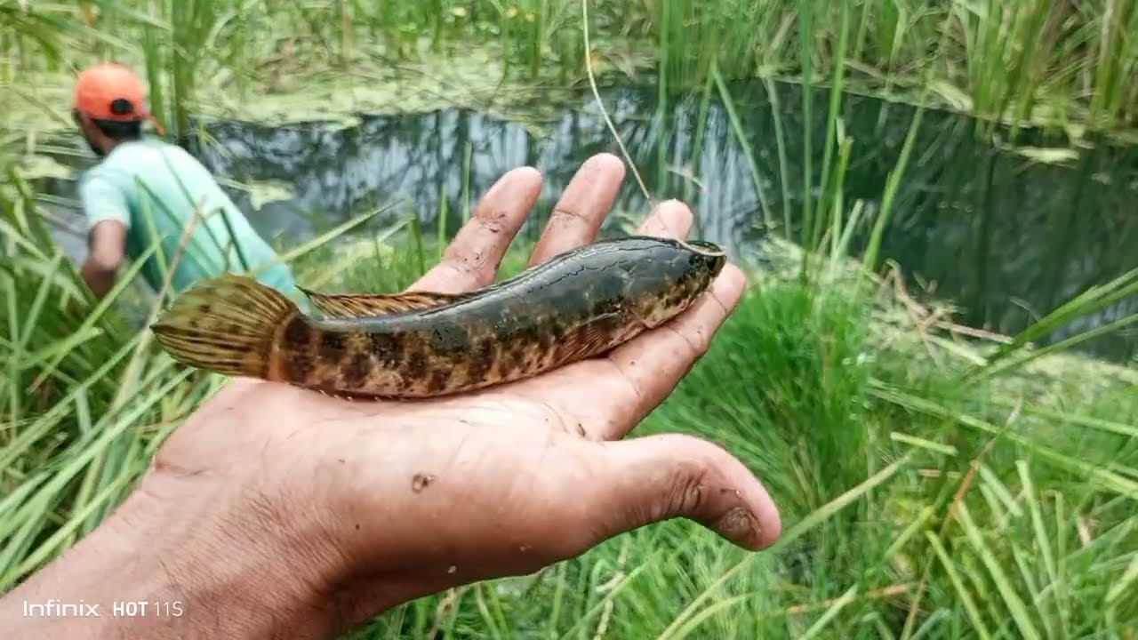 kala pani fishing with small hooks#srkfishing&vlogs#kalapanifishing