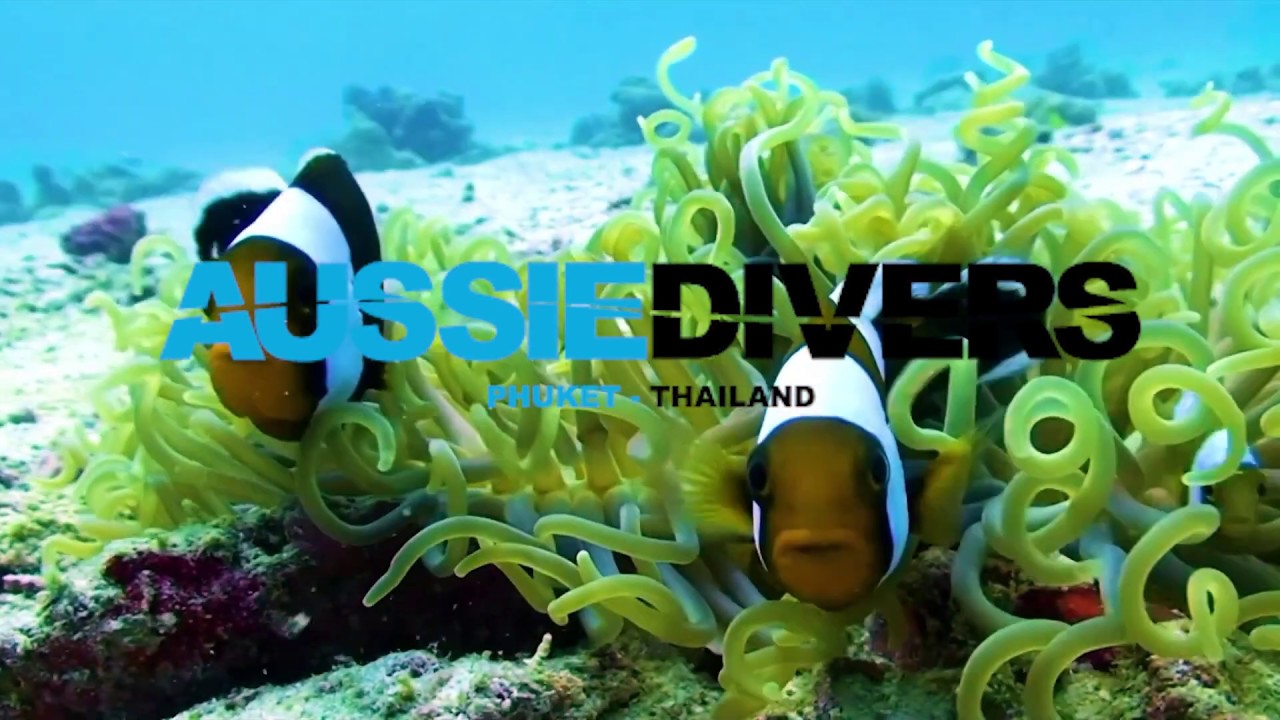 Aussie Divers Phuket - PADI Course Director Introduction - Darren Gaspari