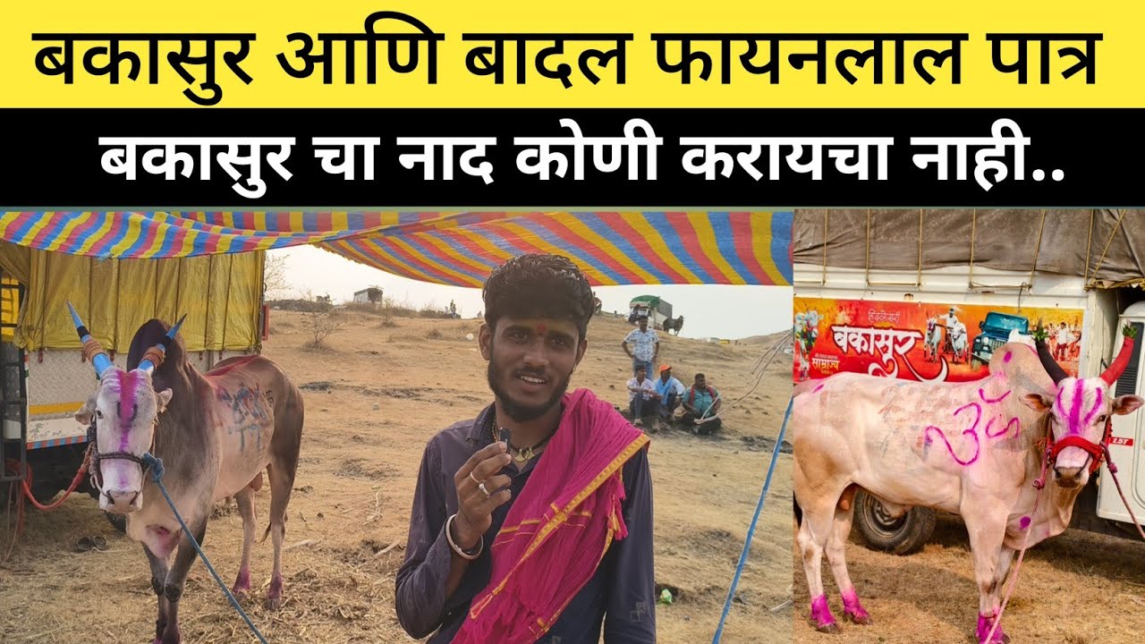 बकासुर आणि बादल लिंब मैदान गुलाल मानकरी/बकासुर चा नाद नाही करायचा 