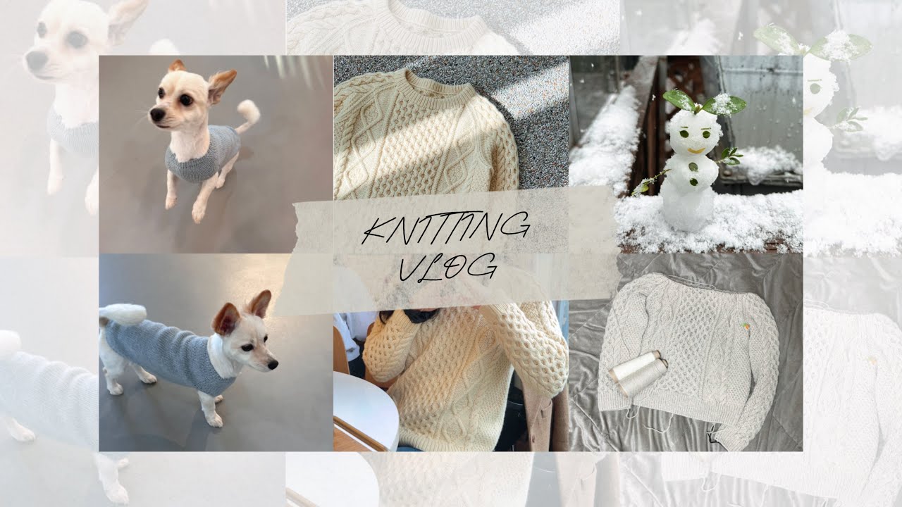 FO가 없으면 강쥐옷을 떠 🐶💖 | 먹고 도안만들고 개옷뜨는 일상 | Knitting Vlog | Ep.05