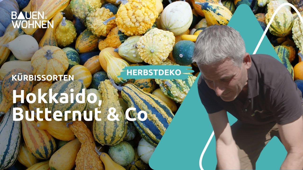Kürbissorten: Hokkaido, Butternut & Co I BAUEN & WOHNEN