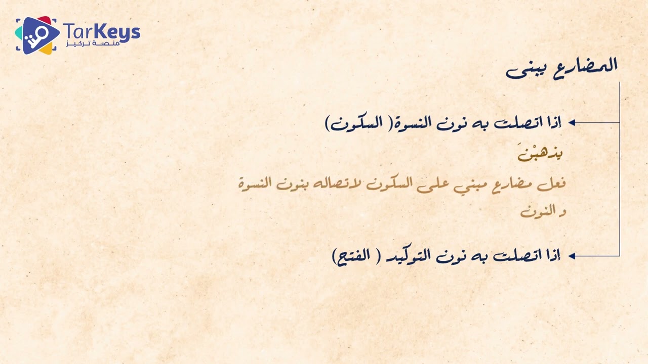 أساسيات الإعراب: الجزء السادس 🖋️ | نحو البكالوريا مع تركيز