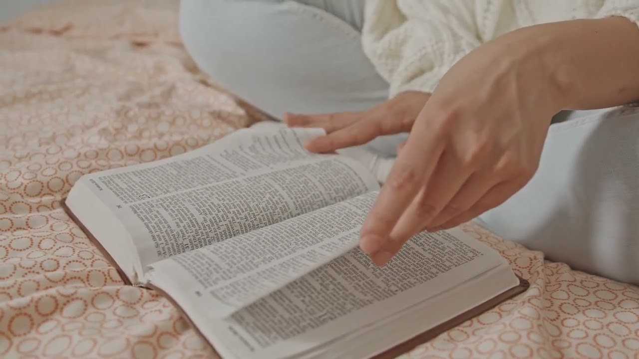 Como Prosperar com Integridade: Provérbios 10 #shortsgospel #shortscristao #bíblia #nvi