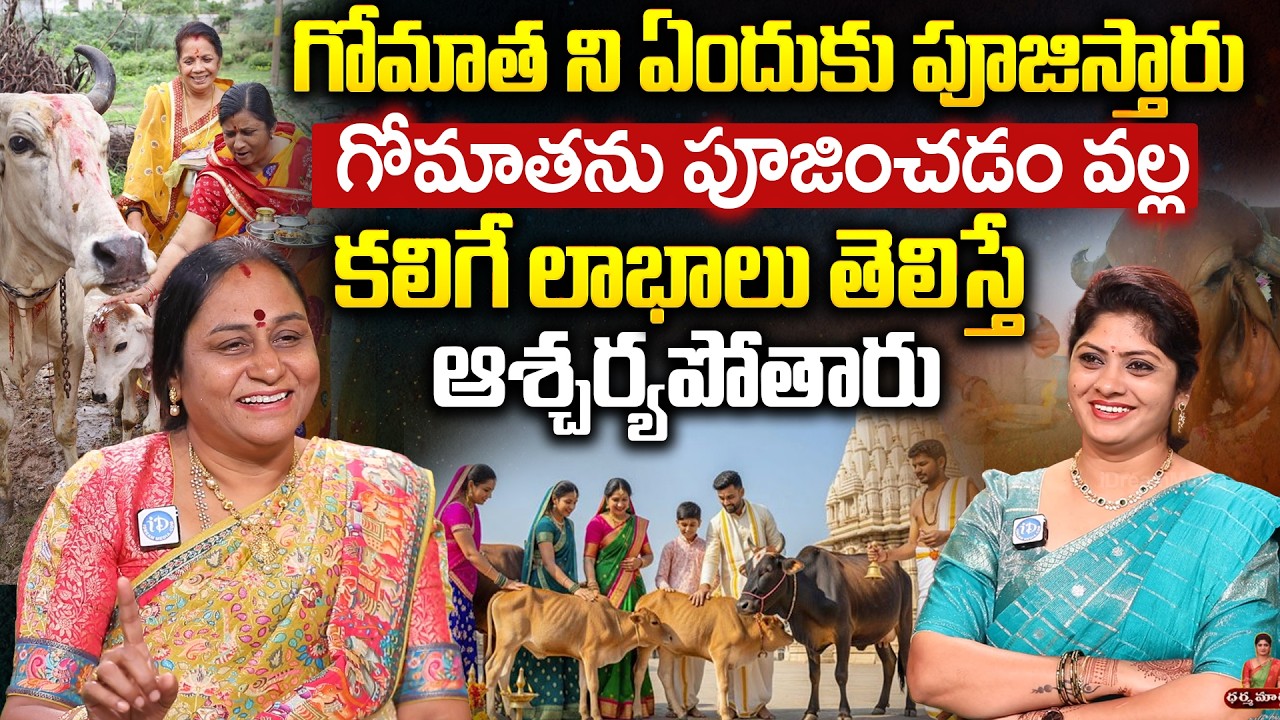 గోమాత ని ఏందుకు పూజిస్తారు గోమాతను పూజించడం వల్ల కలిగే లాభాలు తెలిస్తే ఆశ్చర్యపోతారు | iDream