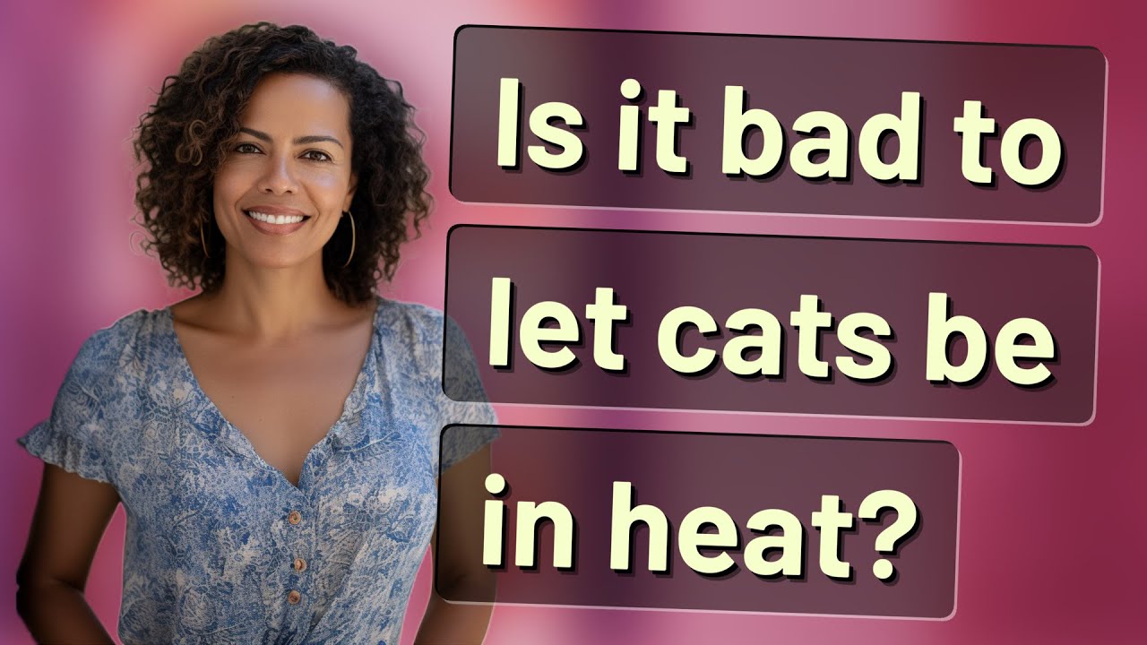 Is it bad to let cats be in heat?