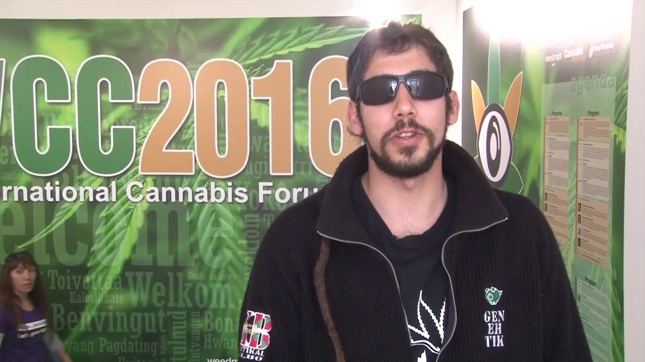 Spannabis 2016. Word Cannabis cup