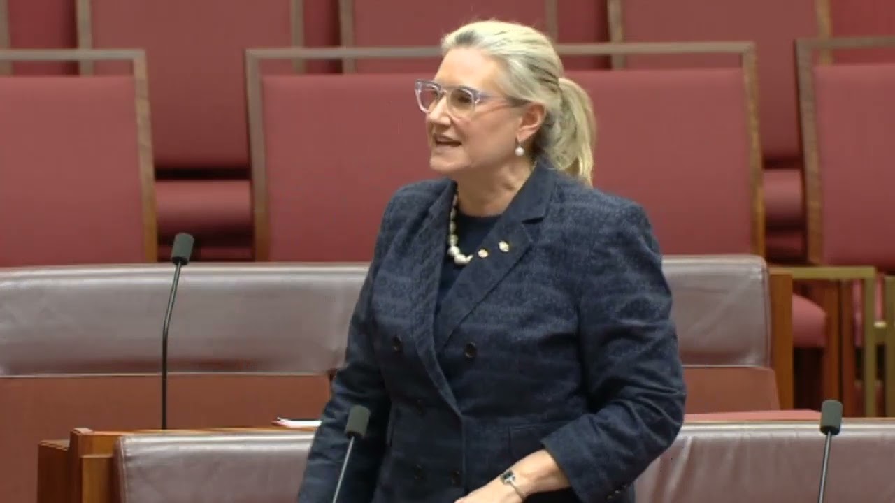 The NDIS is a Shambles and all Labor Cares About are their Union Mates: Senator Hollie Hughes