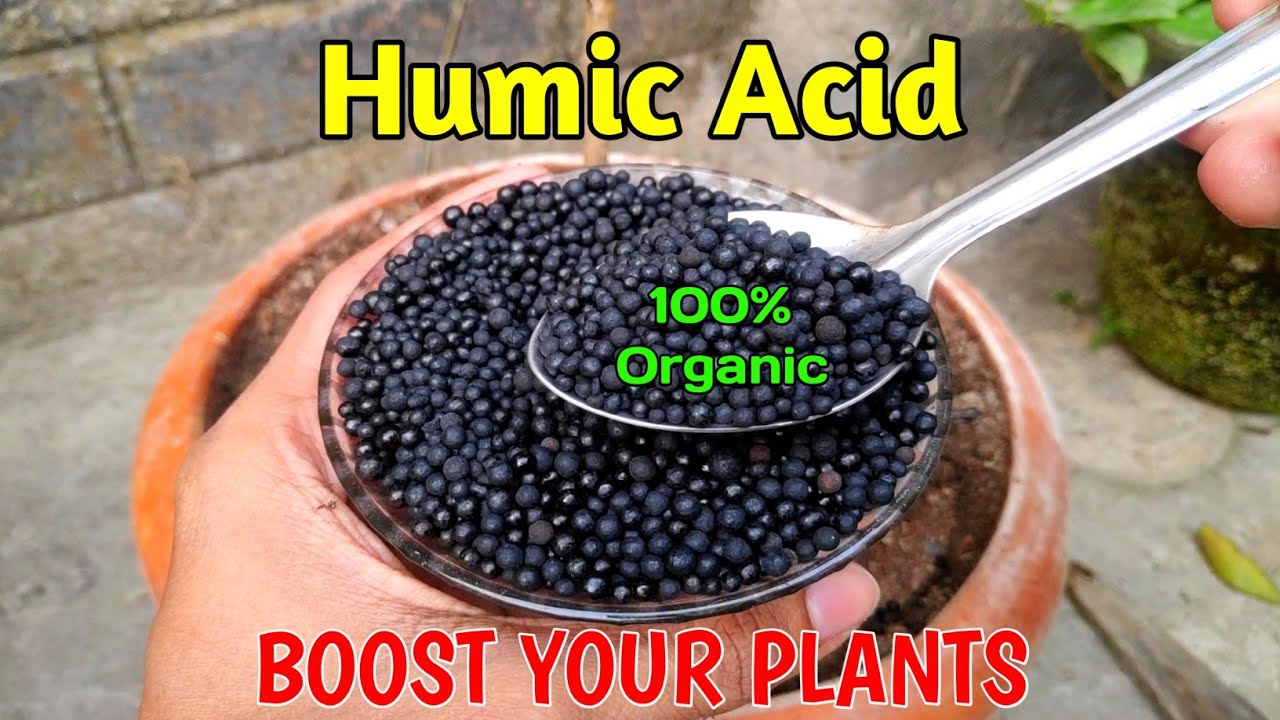 What Is Humic Acid And How To Use It In Gardening (IN HINDI) Benifits Of Humic Acid