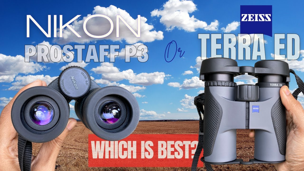 ZEISS TERRA ED 10X32 Vs. Nikon Prostaff P3 10X30 Binoculars - Quality PREMIUM BINOCULARS