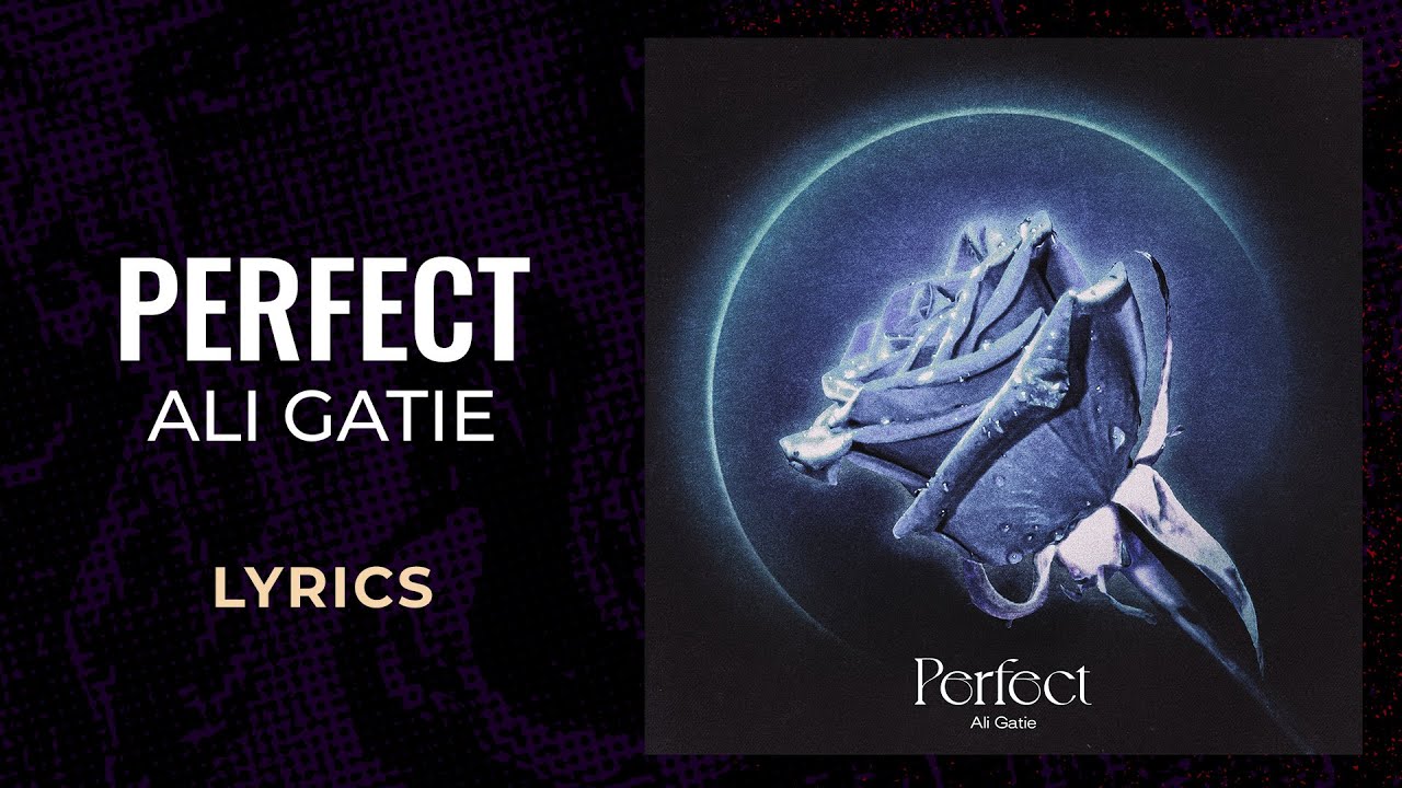 Ali Gatie - Perfect (LYRICS)