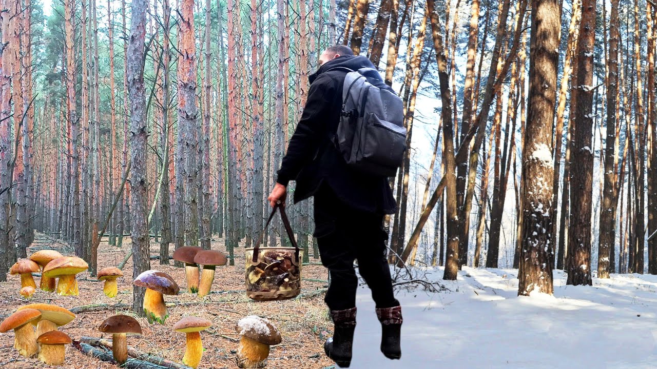 ОЦЕ Я ПОПАВ! 😱 ЯК ТАКЕ МОЖЛИВО!? Тут грибів НАВАЛОМ!