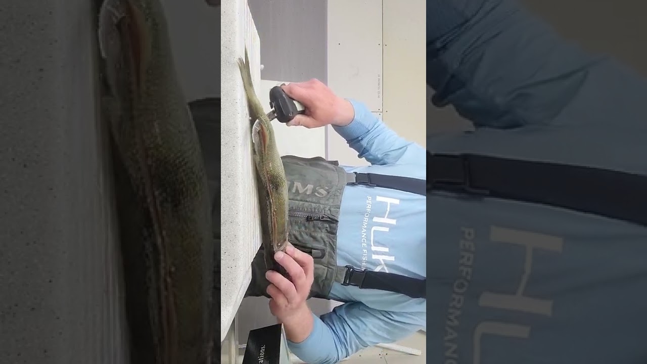 Old Timer Lithium Ion Fillet Knife First Review