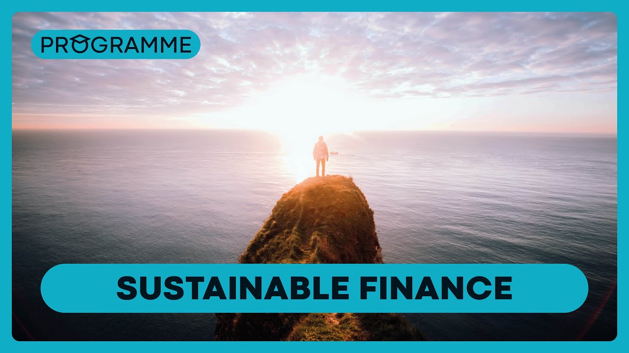 MSc, Master of Science Sustainable Finance – présentation du programme