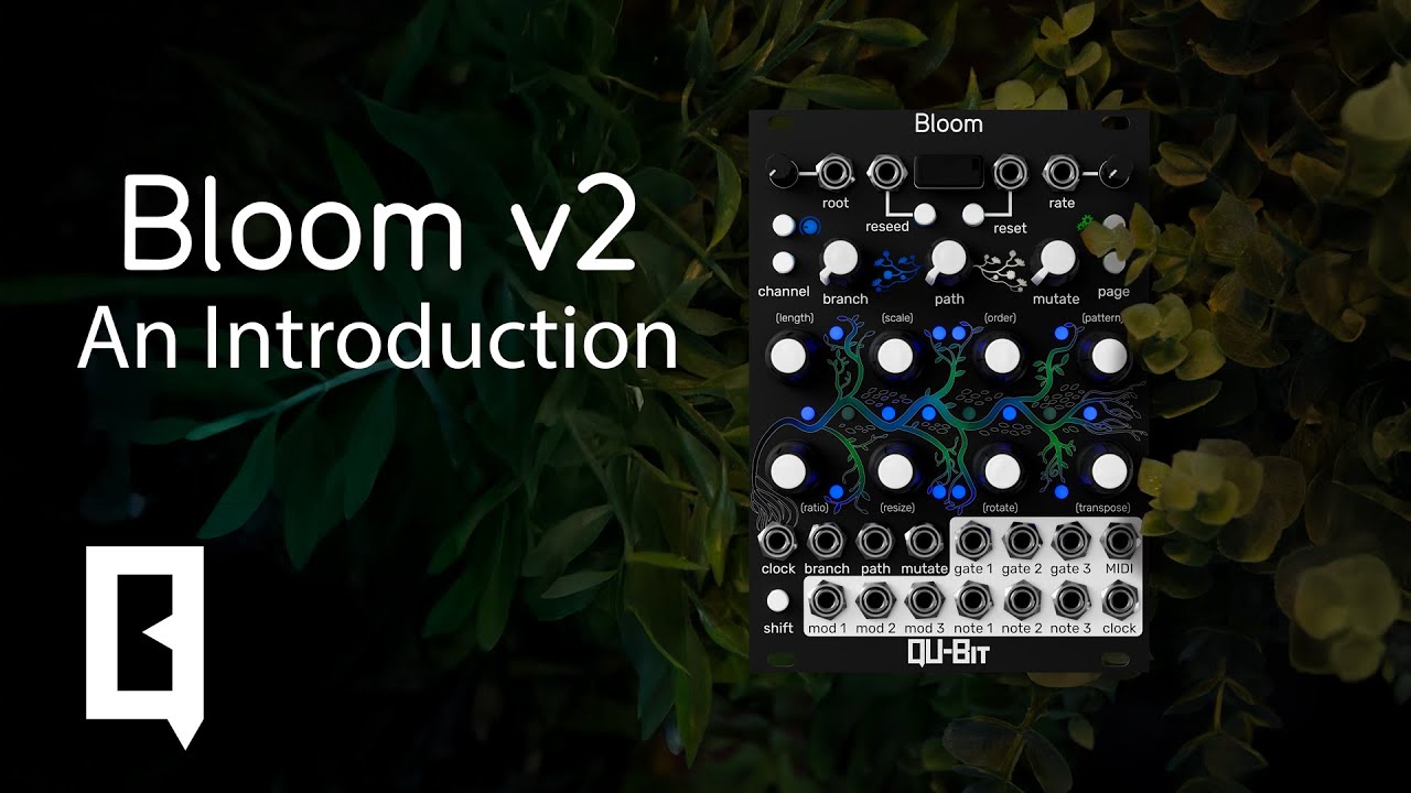 Introducing: Bloom v2