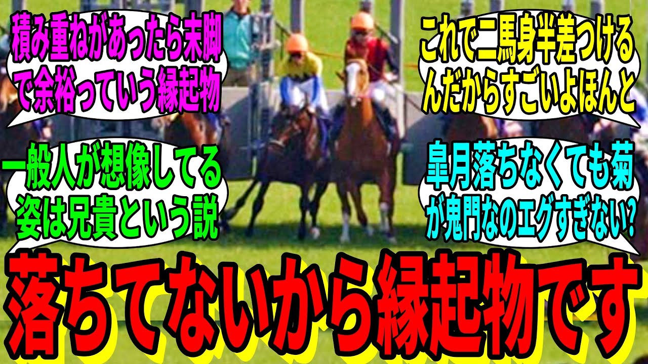 【競馬の反応集】「決して落ちることのない縁起物ですプイ」に対する視聴者の反応集