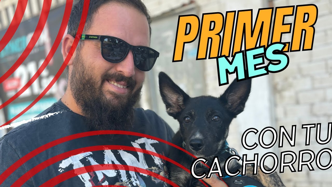 ENTRENAMIENTO del CACHORRO el primer mes - conoce la la rutinas de Leonardo con todo  detalle