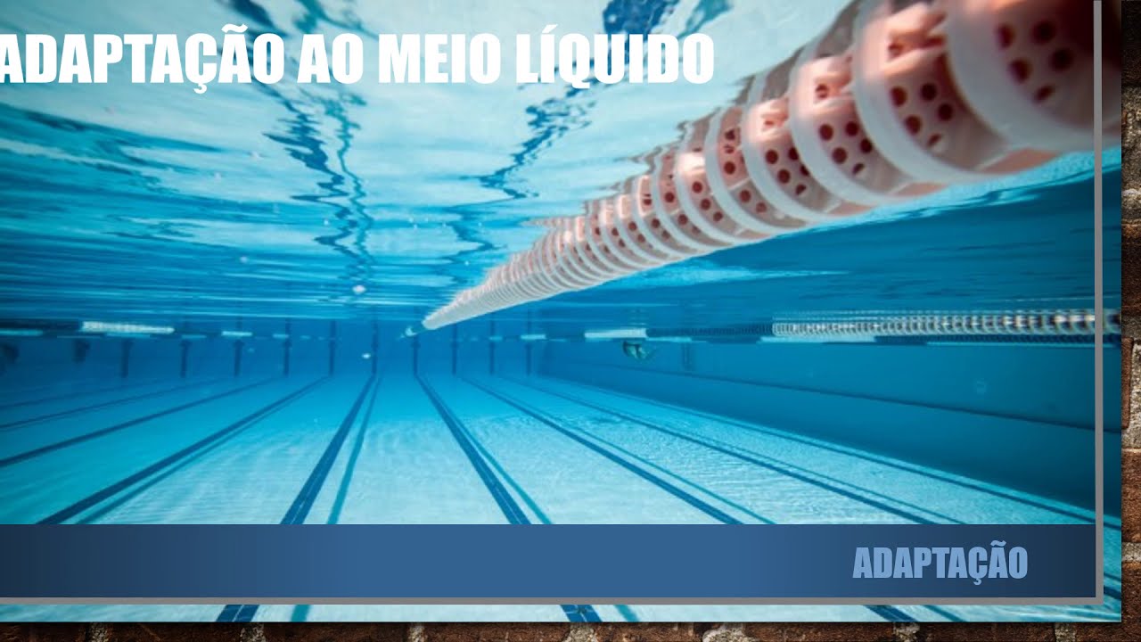 ATIVIDADES AQUÁTICAS - ADAPTAÇÃO AO MEIO LÍQUIDO E RESPIRAÇÃO