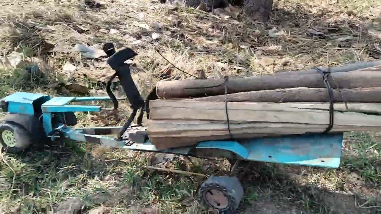 Wow Carying Small Logs Firewoods 