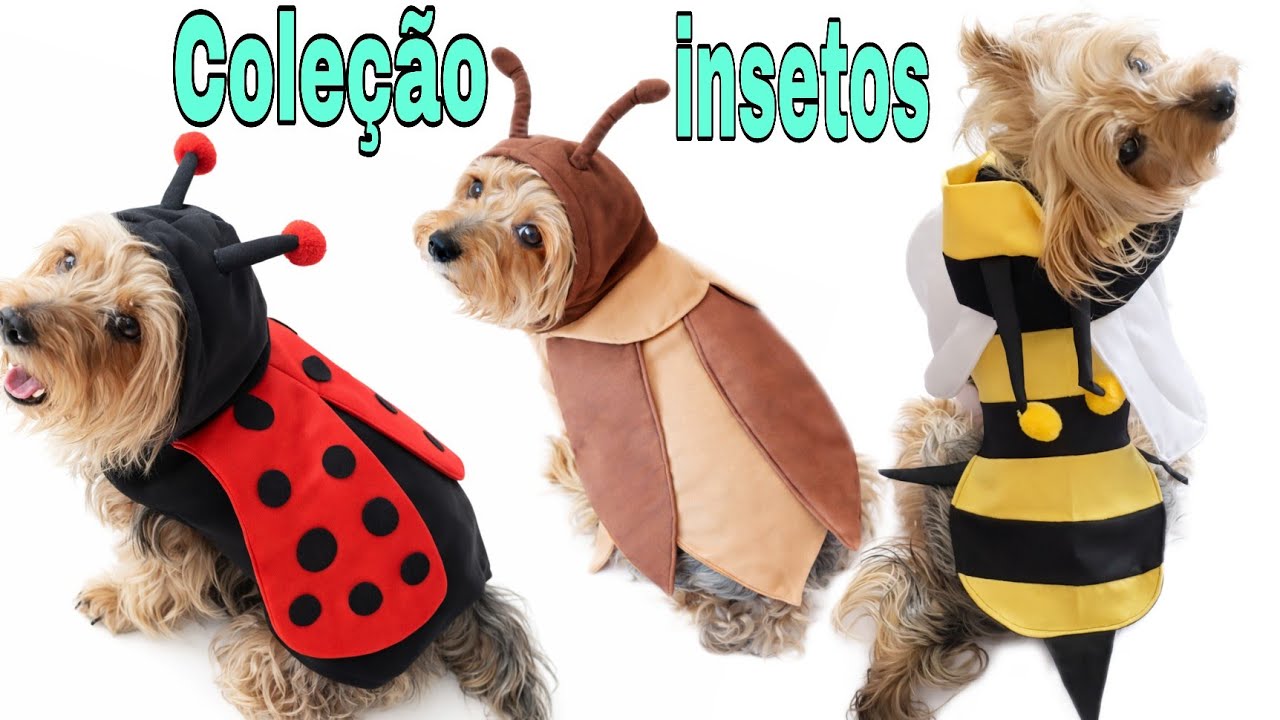 Coleção insetos/fantasia da baratinha Pet/Abelhinha e joaninha.