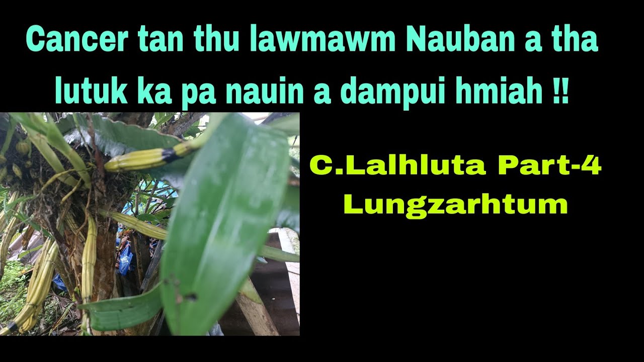 Cancer damdawiah Nauban a tha lutuk ka Pa nauin a dampui hmiah !!! C.Lalhluta Part-4 Lungzarhtum.