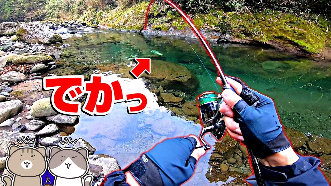 海外の大型トラウトが九州でアユやヤマメを喰って繁殖してるだと⁈前編【渓流釣り/ブラウントラウト】
