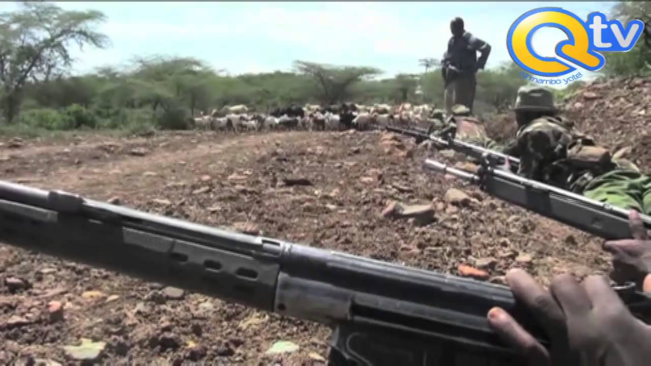 Wizi wa Mifugo: Wezi waiba ng'ombe 60 Pokot