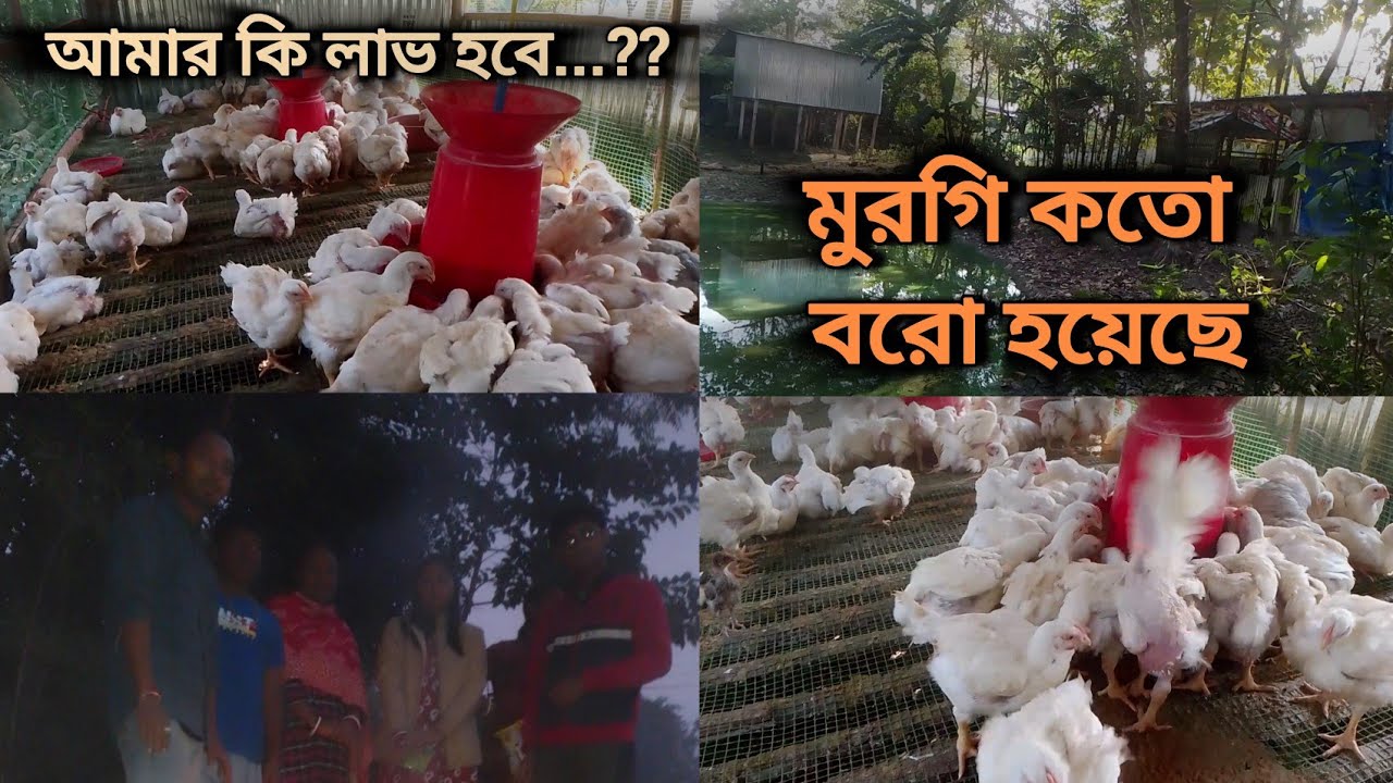 আমার কি লাভ হবে..&hellip;??