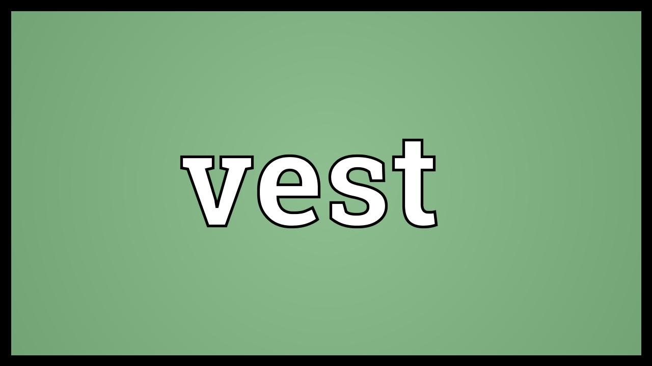 Vest Meaning