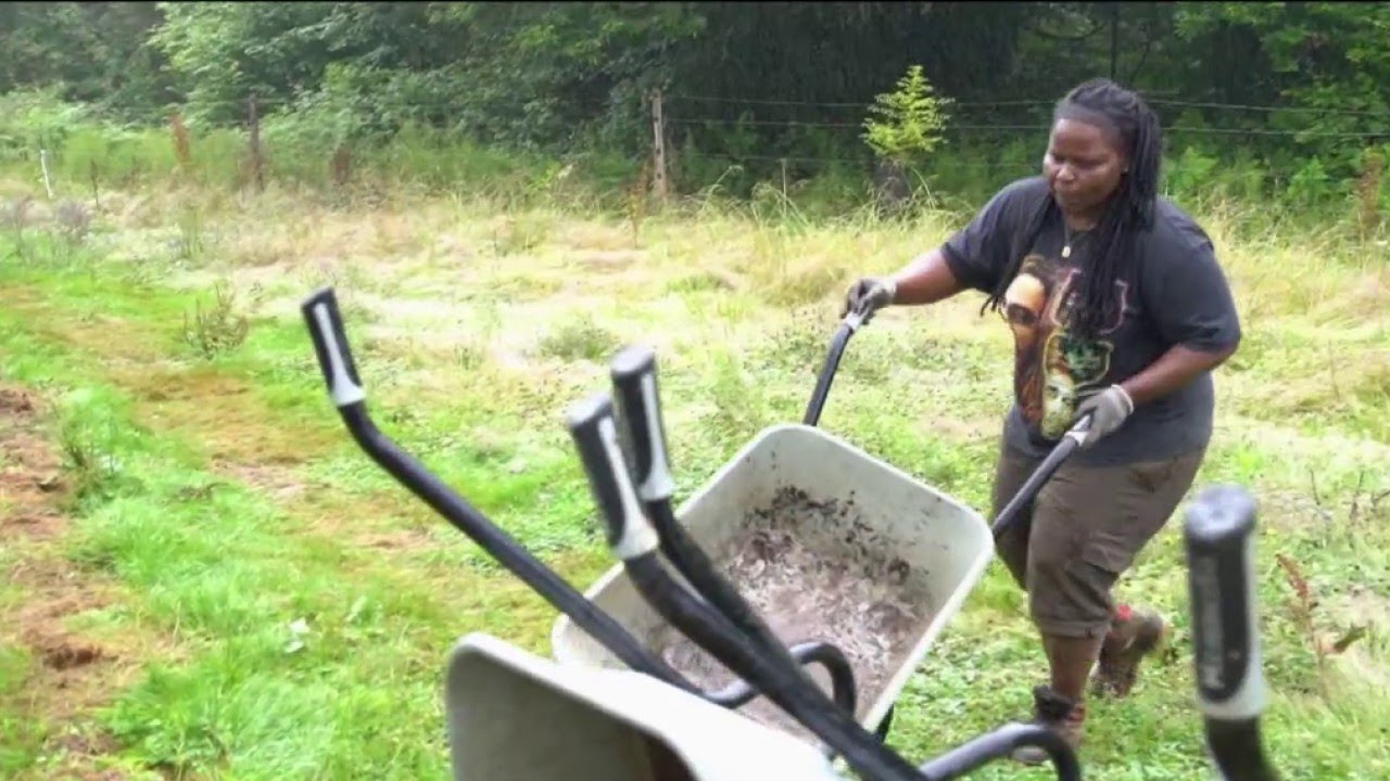 Tarnos - La ferme de la réinsertion