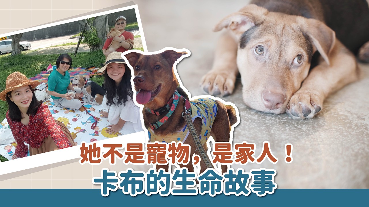 醫生判死，她卻奇蹟活到七歲甚至久！