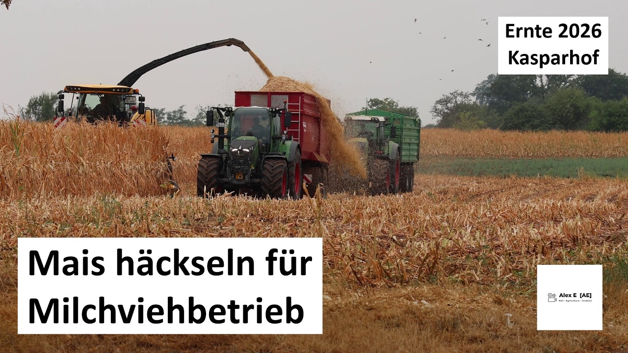Mais h&auml;ckseln am Kasparhof 2026 | Alex E