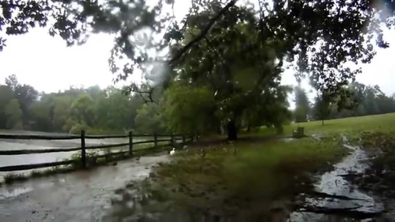 A Rainy Day Splashing In Puddles