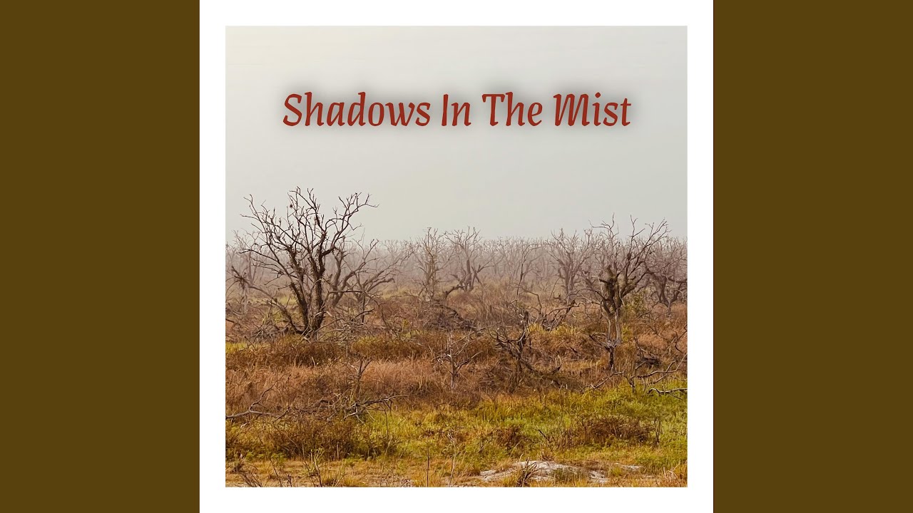Shadows In The Mist