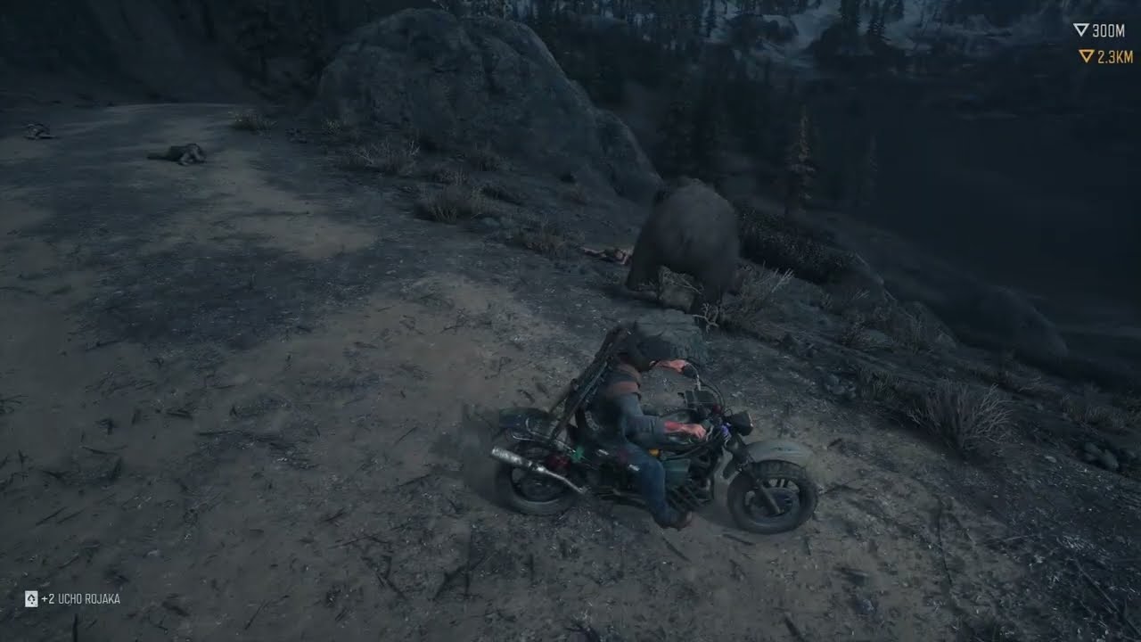 Niedźwiedź vs Świrusy • Ciekawostka z gry Days Gone