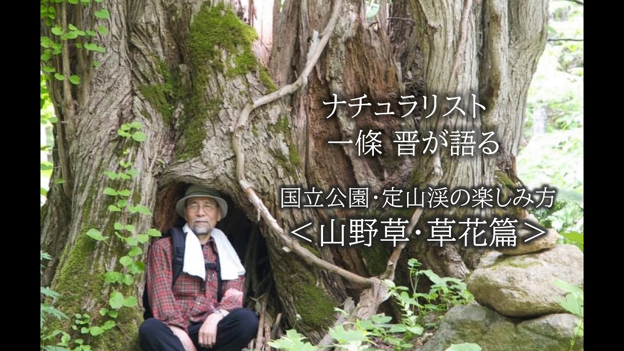 国立公園 定山渓の楽しみ方〈野草・草花篇〉